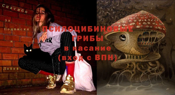 винт Верея